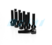 Lug Bolts | Conical Seat 17mm Hex | 10 Piece Set | Black